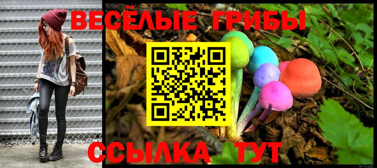 Севастополь  Псилоцибиновые грибы Psilocybine cubensis  Галлюциногенные грибы мицелий  Вход с VPN 