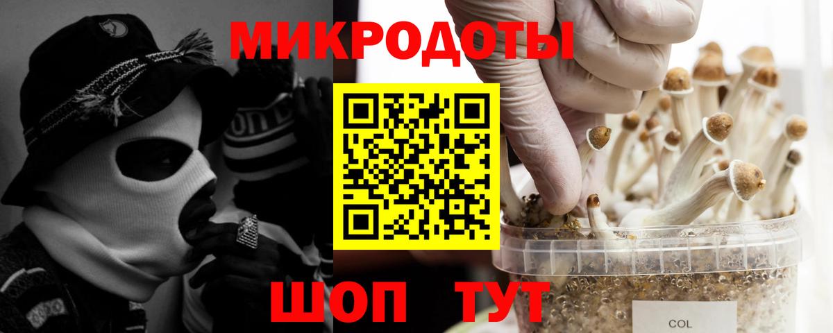 Галлюциногенные грибы Cubensis Севастополь